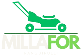 Millafor Panguipulli